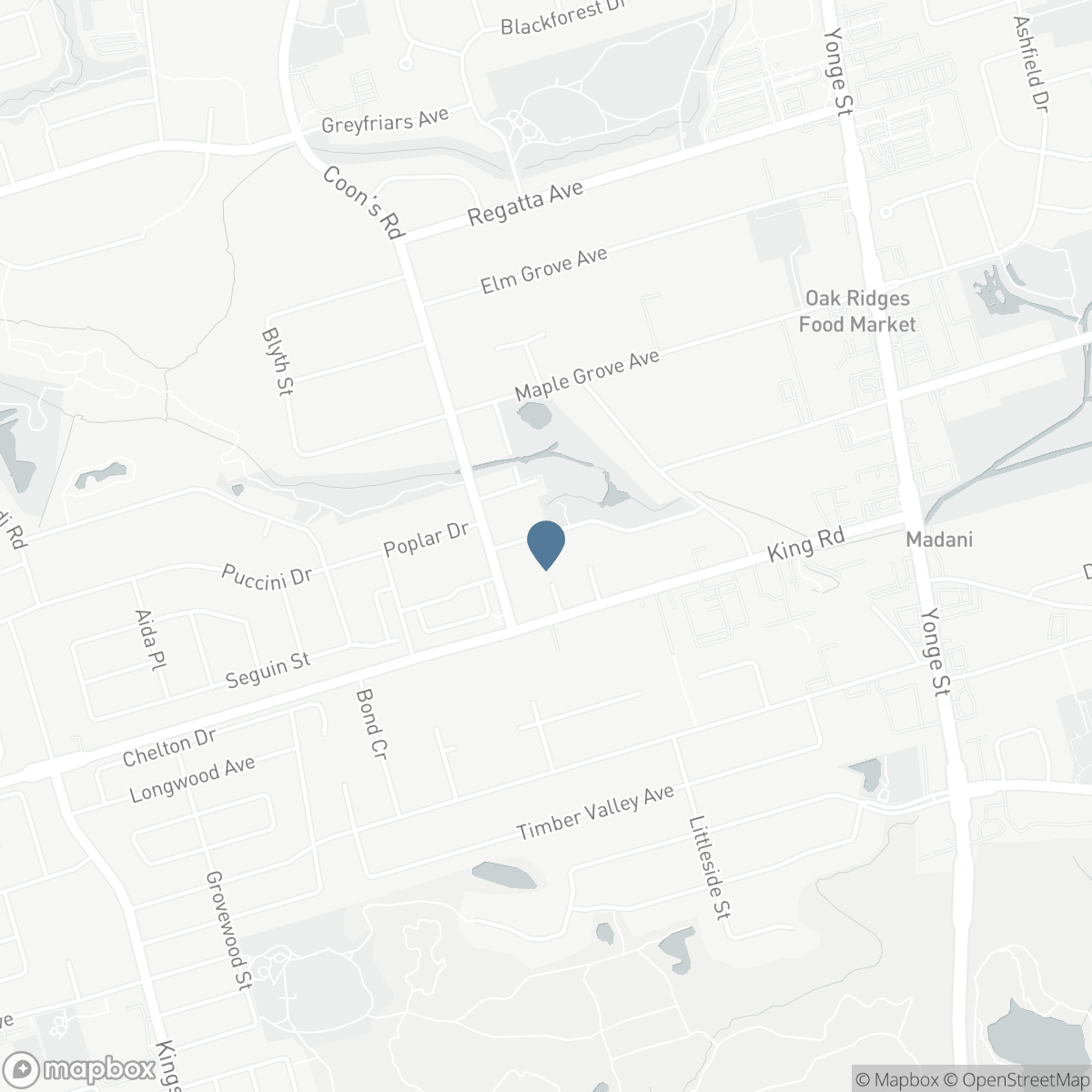 29 GEORGE STREET, Richmond Hill, Ontario L4E 2V8